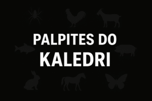 Palpites-Do-Dia-Kaledri-Jogo-Bicho