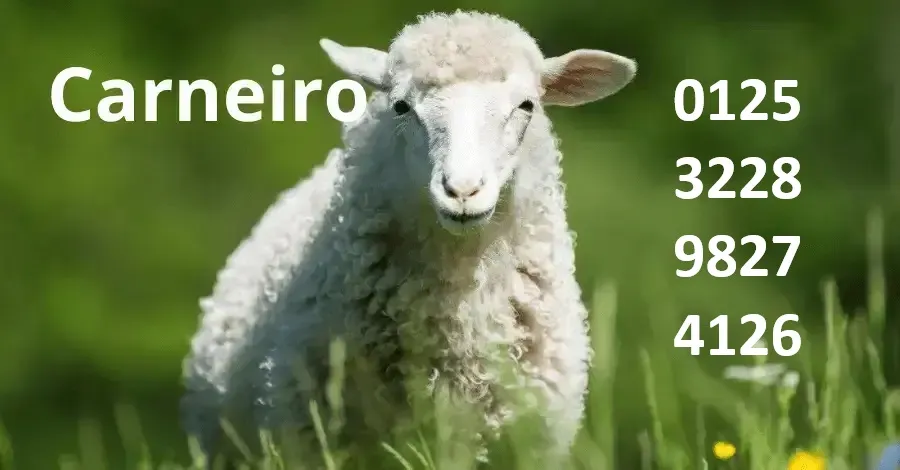 palpites-do-kaledri-jogo-do-bicho